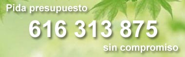 pida presupuesto de jardineria y poda