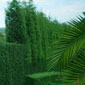 Mantenimiento de jardines