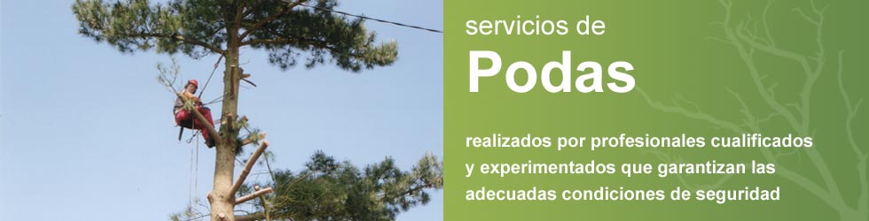 servicios de podas
